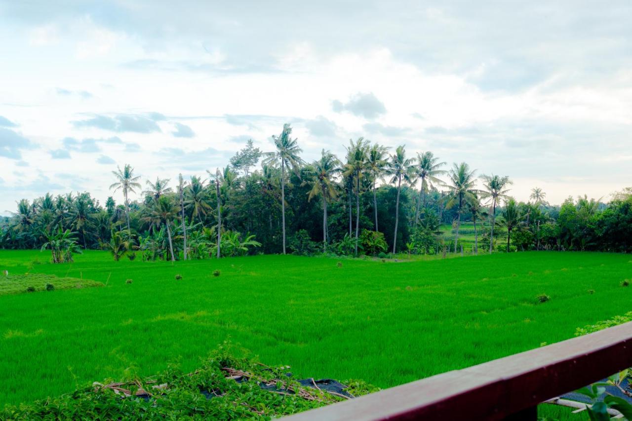 Nauna Villa Ubud Екстер'єр фото