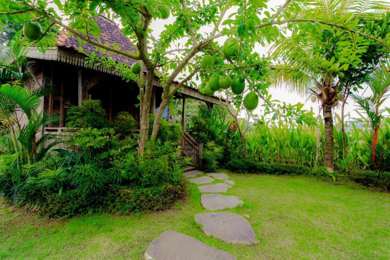 Nauna Villa Ubud Екстер'єр фото