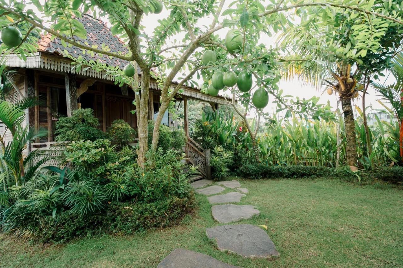 Nauna Villa Ubud Екстер'єр фото